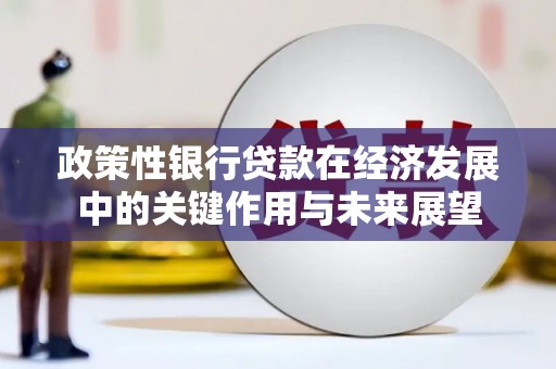 雾峰政策性银行贷款在经济发展中的关键作用与未来展望
