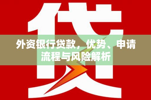 雾峰外资银行贷款，优势、申请流程与风险解析