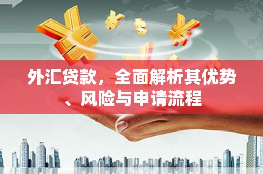 雾峰外汇贷款，全面解析其优势、风险与申请流程