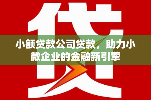 雾峰小额贷款公司贷款，助力小微企业的金融新引擎
