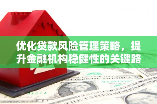 雾峰优化贷款风险管理策略，提升金融机构稳健性的关键路径