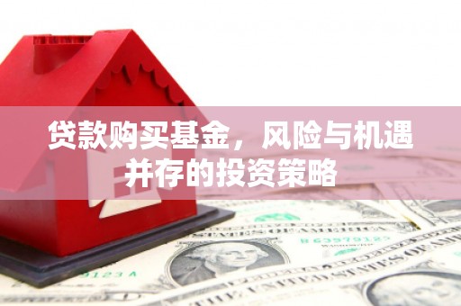 雾峰贷款购买基金，风险与机遇并存的投资策略