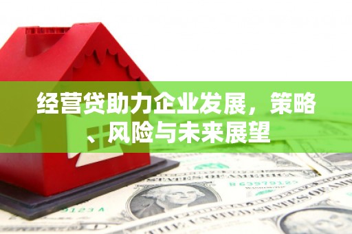 雾峰经营贷助力企业发展，策略、风险与未来展望