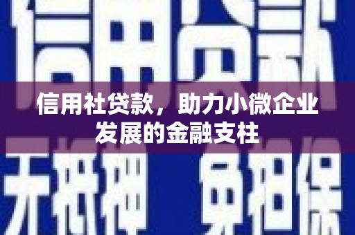 雾峰信用社贷款，助力小微企业发展的金融支柱