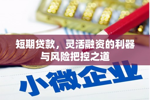 雾峰短期贷款，灵活融资的利器与风险把控之道