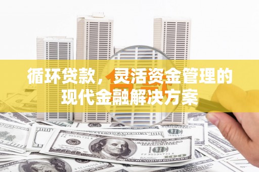 雾峰循环贷款，灵活资金管理的现代金融解决方案