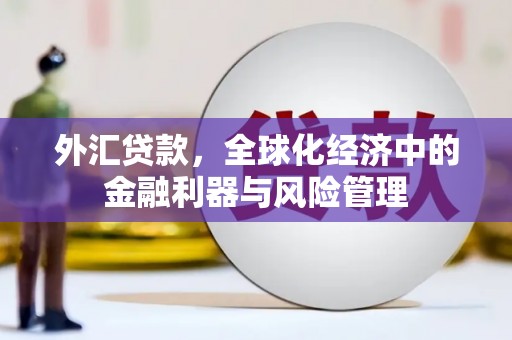 雾峰外汇贷款，全球化经济中的金融利器与风险管理