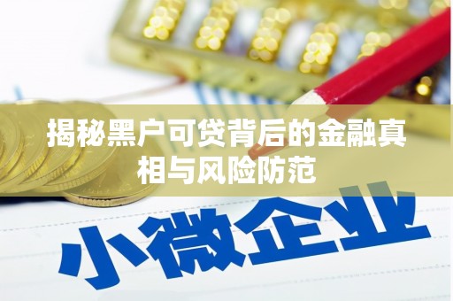 雾峰揭秘黑户可贷背后的金融真相与风险防范