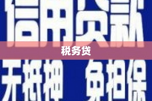 雾峰税务贷