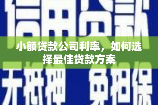 雾峰小额贷款公司利率，如何选择最佳贷款方案