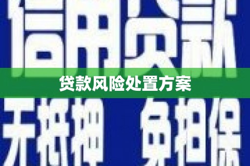 雾峰贷款风险处置方案