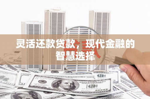 雾峰灵活还款贷款，现代金融的智慧选择