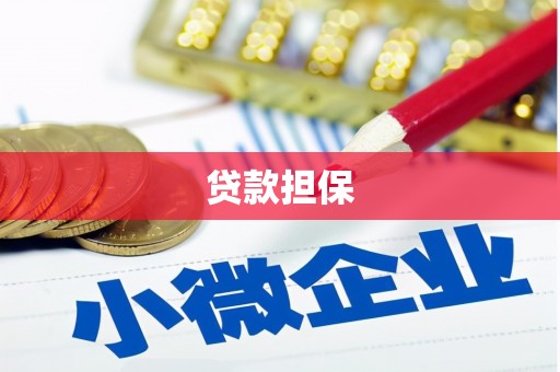 雾峰贷款担保