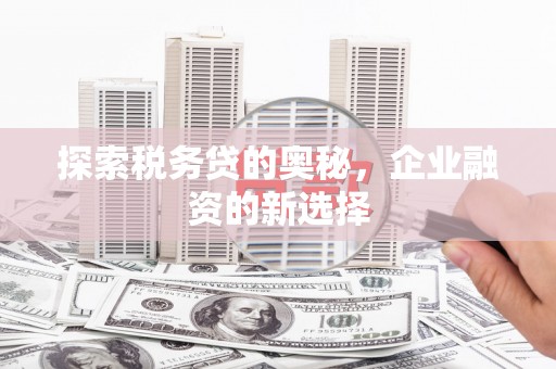 雾峰探索税务贷的奥秘，企业融资的新选择