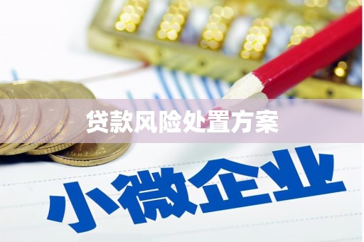 雾峰贷款风险处置方案