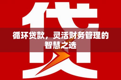 雾峰循环贷款，灵活财务管理的智慧之选