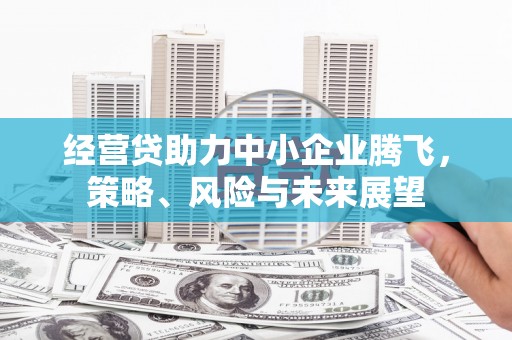 雾峰经营贷助力中小企业腾飞，策略、风险与未来展望