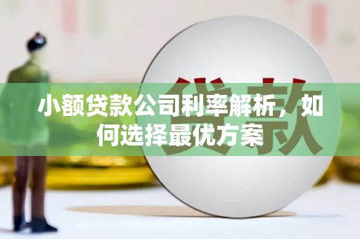 雾峰小额贷款公司利率解析，如何选择最优方案