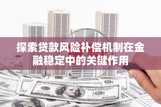 雾峰探索贷款风险补偿机制在金融稳定中的关键作用