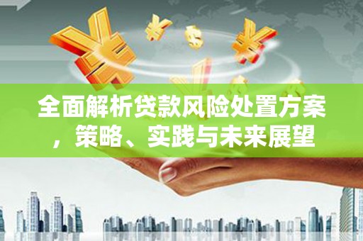 雾峰全面解析贷款风险处置方案，策略、实践与未来展望