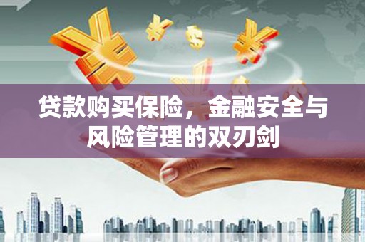 雾峰贷款购买保险，金融安全与风险管理的双刃剑