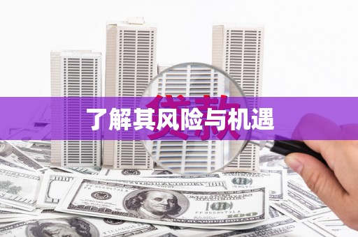 雾峰了解其风险与机遇