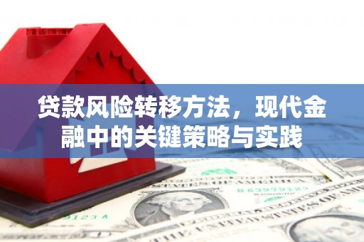 雾峰贷款风险转移方法，现代金融中的关键策略与实践