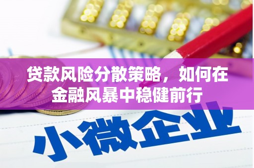 雾峰贷款风险分散策略，如何在金融风暴中稳健前行