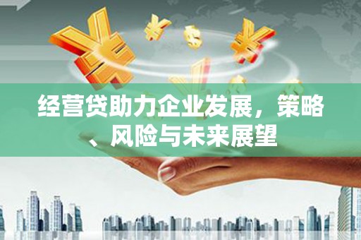 雾峰经营贷助力企业发展，策略、风险与未来展望