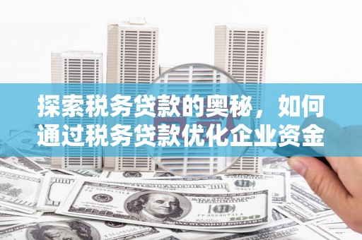 雾峰探索税务贷款的奥秘，如何通过税务贷款优化企业资金流