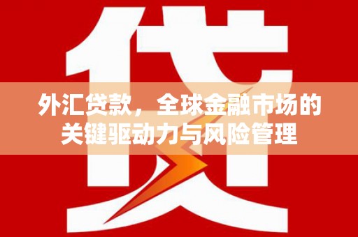 雾峰外汇贷款，全球金融市场的关键驱动力与风险管理