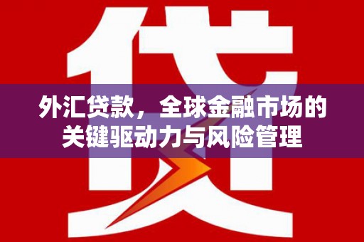雾峰外汇贷款，全球金融市场的关键驱动力与风险管理