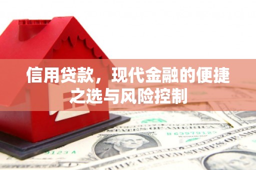 雾峰信用贷款，现代金融的便捷之选与风险控制
