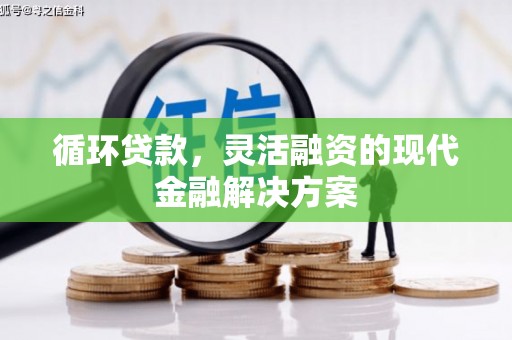 雾峰循环贷款，灵活融资的现代金融解决方案