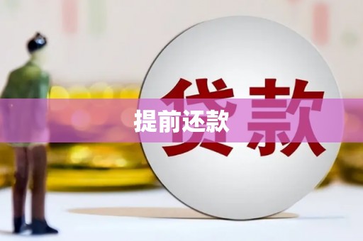 雾峰提前还款