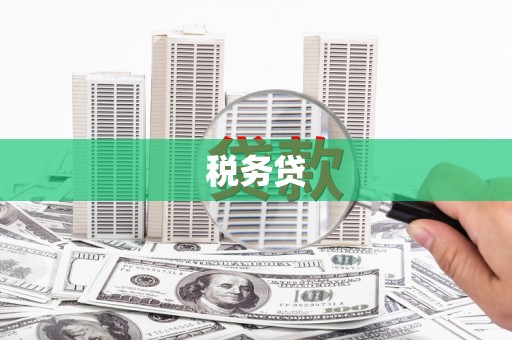 雾峰税务贷