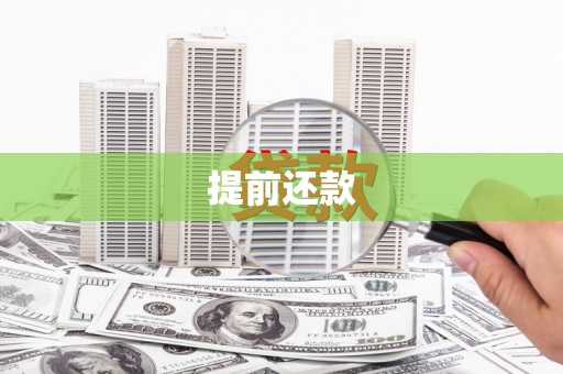 雾峰提前还款