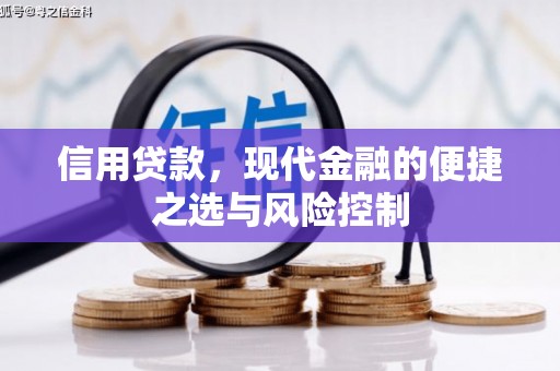 雾峰信用贷款，现代金融的便捷之选与风险控制