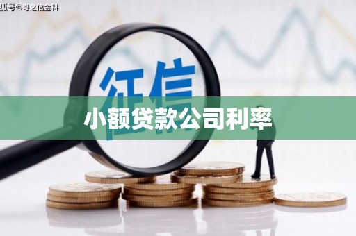 雾峰小额贷款公司利率