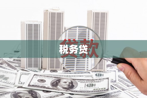 雾峰税务贷
