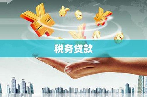 雾峰税务贷款