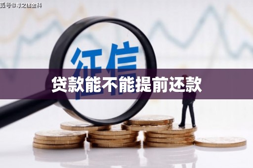 雾峰贷款能不能提前还款
