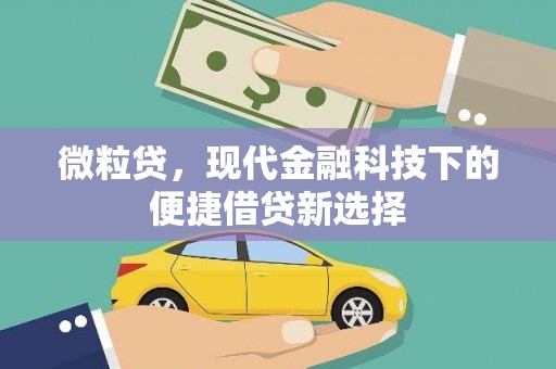 雾峰微粒贷，现代金融科技下的便捷借贷新选择
