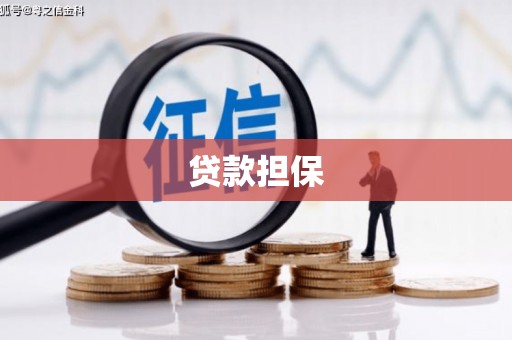 雾峰贷款担保