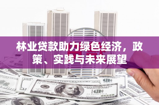 雾峰林业贷款助力绿色经济，政策、实践与未来展望