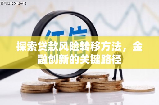 雾峰探索贷款风险转移方法，金融创新的关键路径