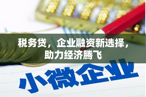 雾峰税务贷，企业融资新选择，助力经济腾飞