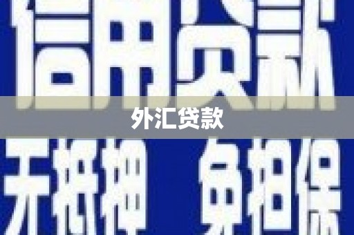 雾峰外汇贷款