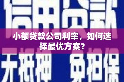 雾峰小额贷款公司利率，如何选择最优方案？