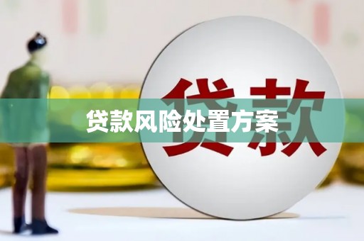 雾峰贷款风险处置方案